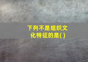 下列不是组织文化特征的是( )